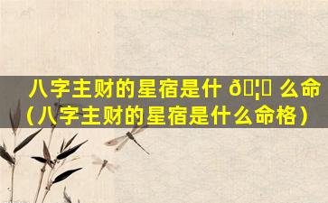 八字主财的星宿是什 🦅 么命（八字主财的星宿是什么命格）
